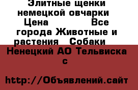 Элитные щенки немецкой овчарки › Цена ­ 30 000 - Все города Животные и растения » Собаки   . Ненецкий АО,Тельвиска с.